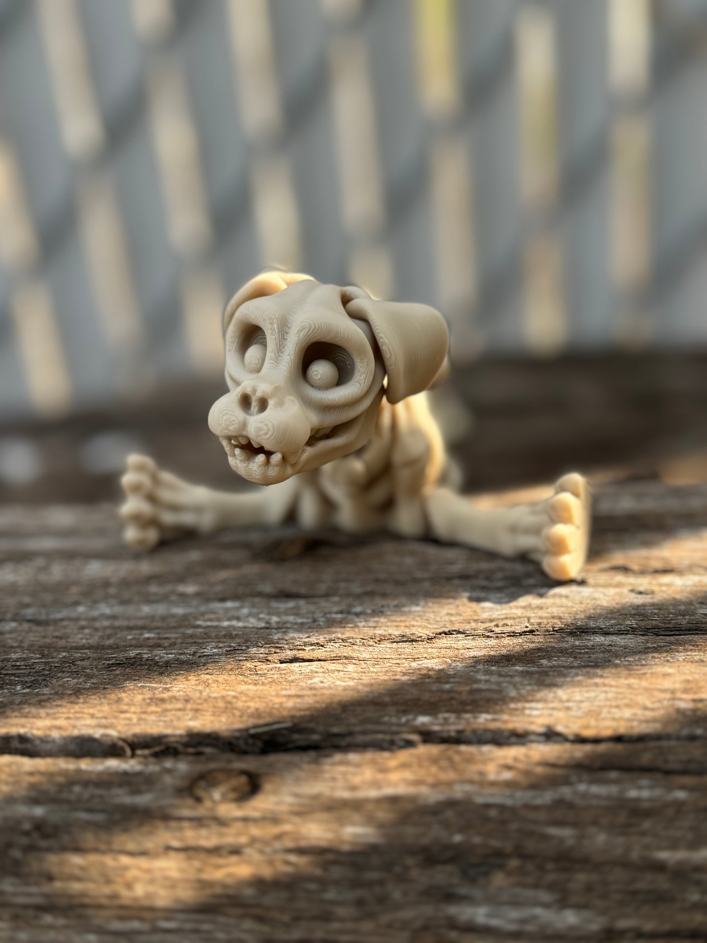 Skeleton dog