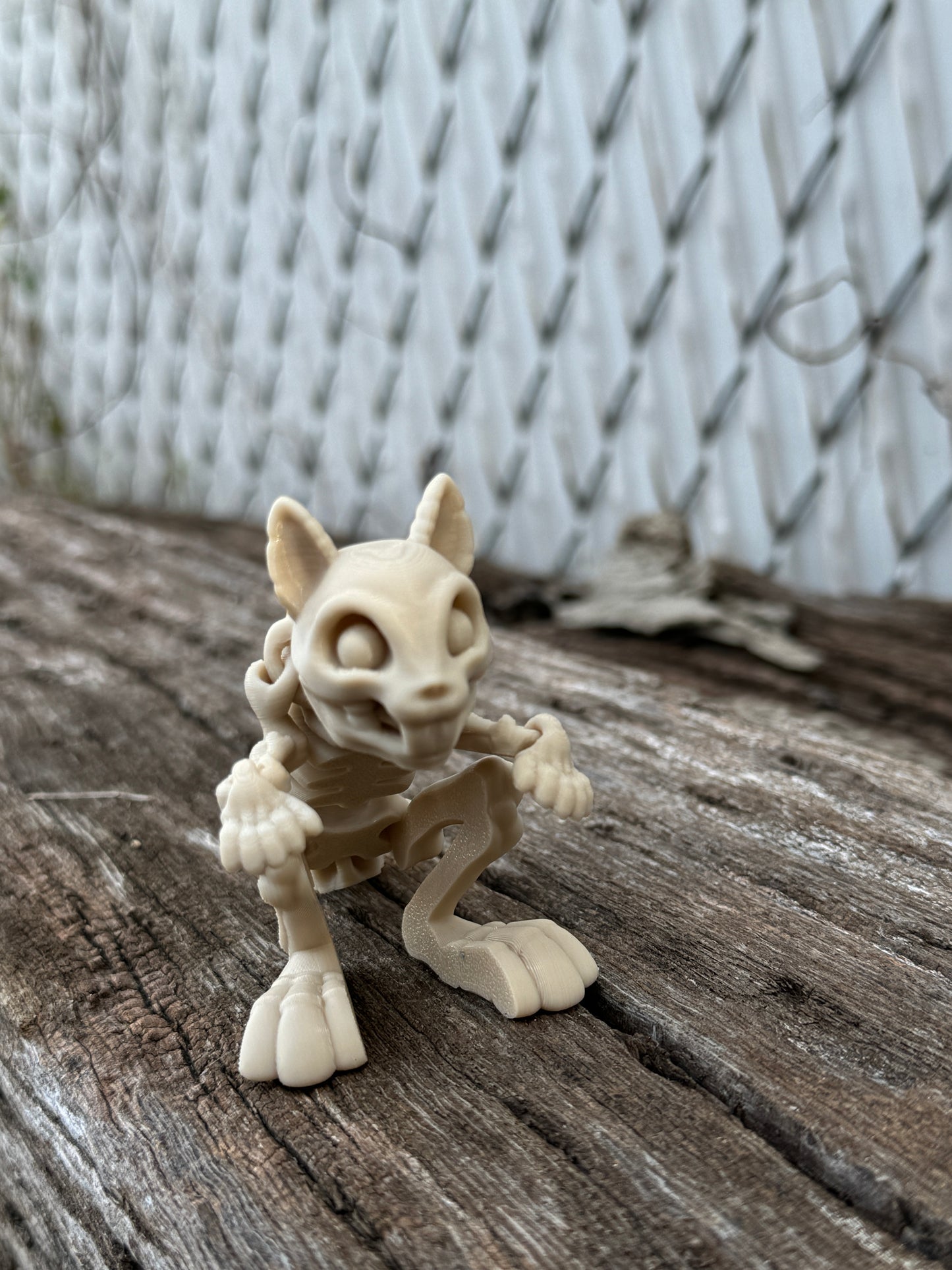 Skeleton squirrel