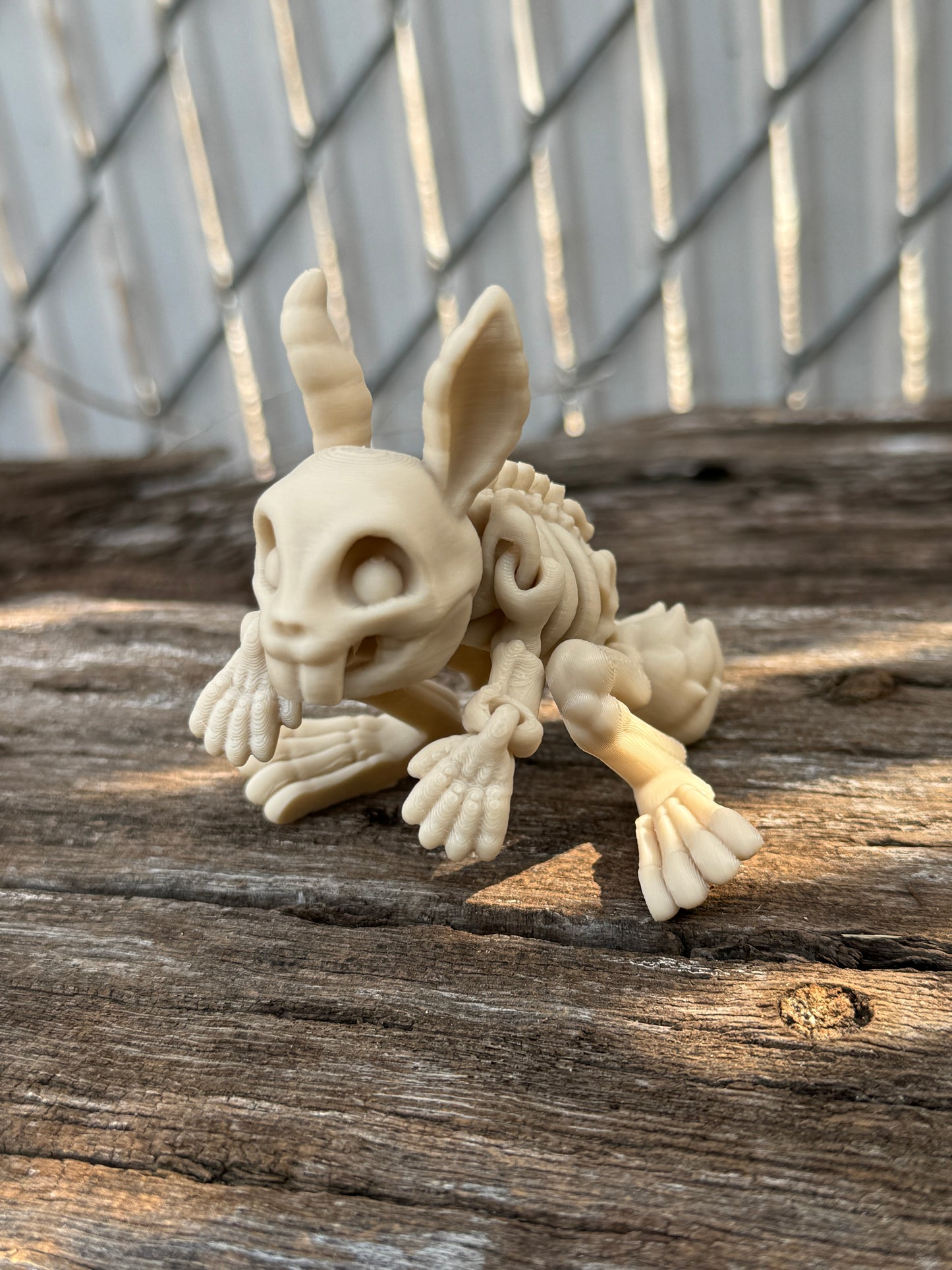 Skeleton rabbit