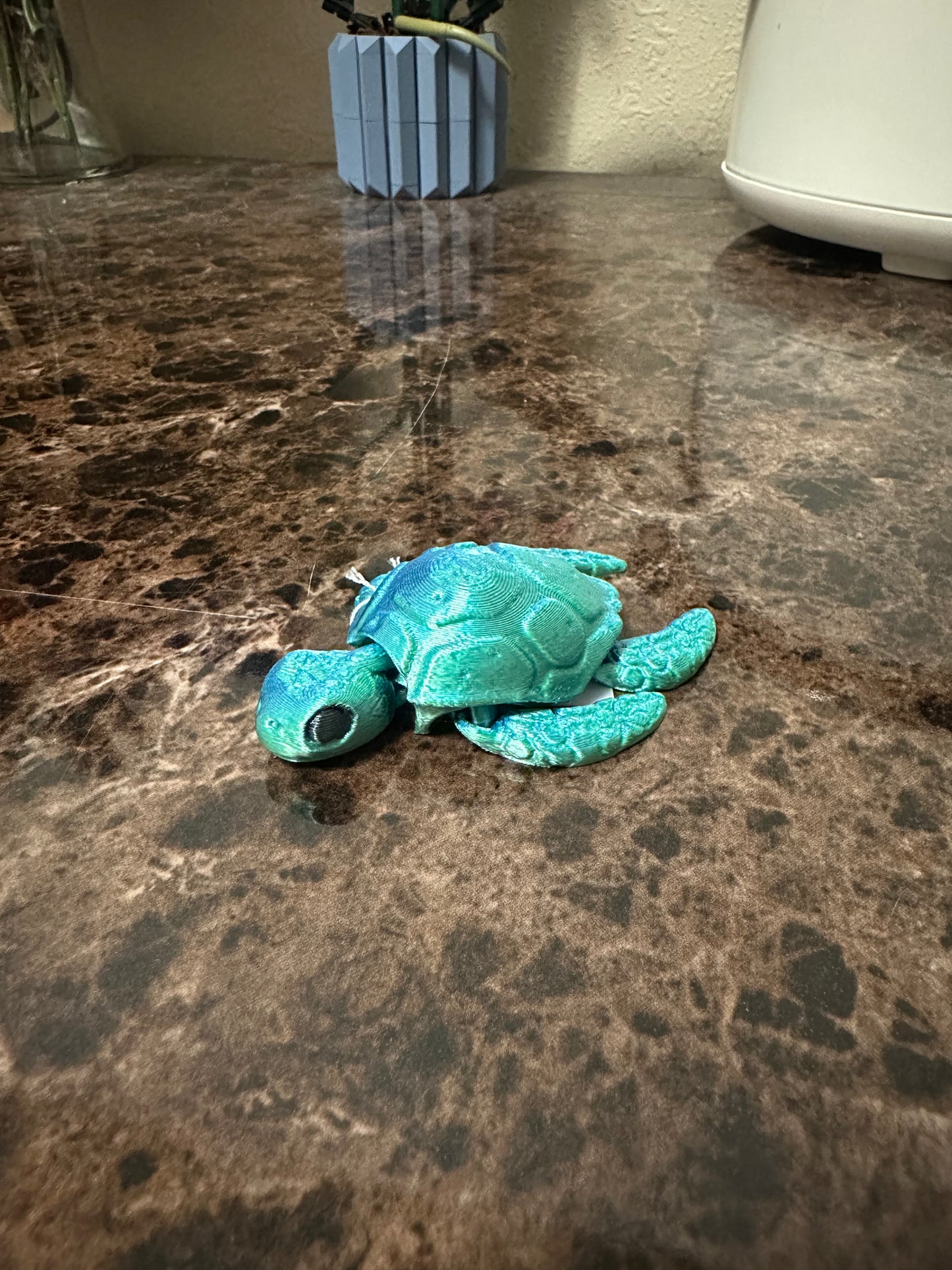 Sea Turtles