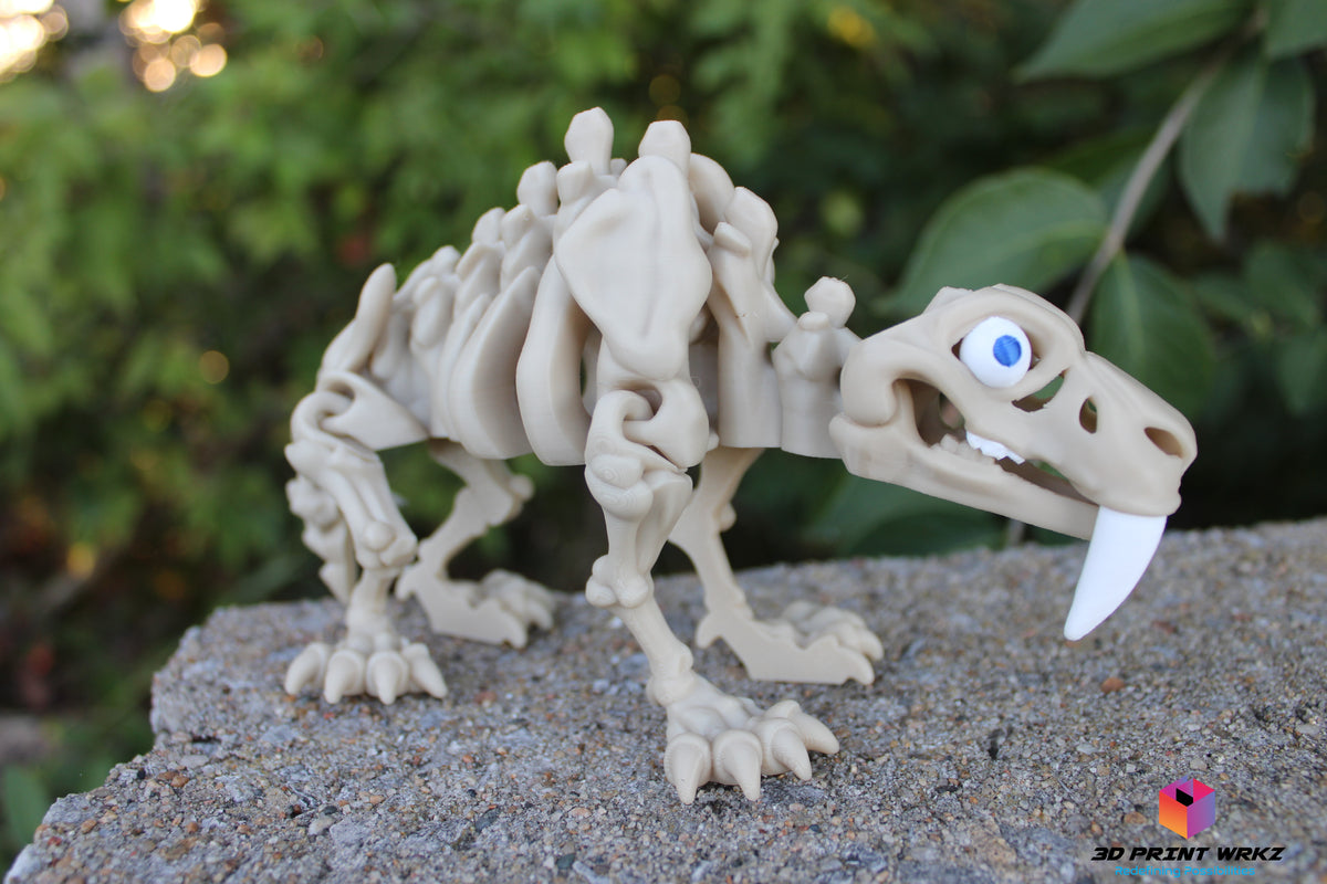 Skeleton Saber tooth Tiger