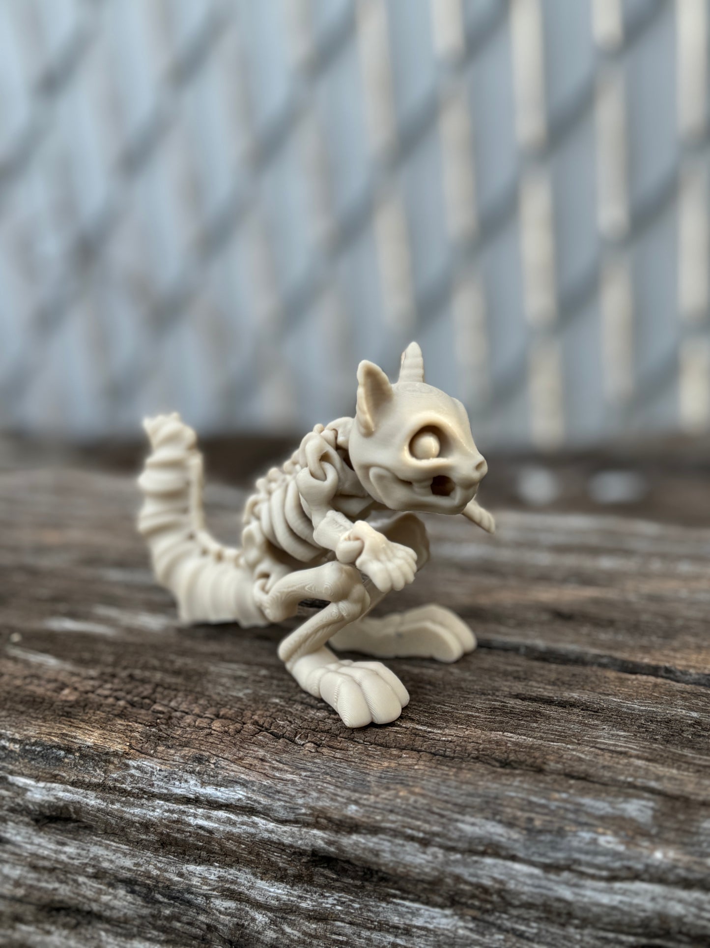 Skeleton squirrel