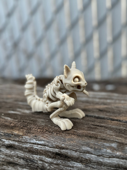 Skeleton squirrel