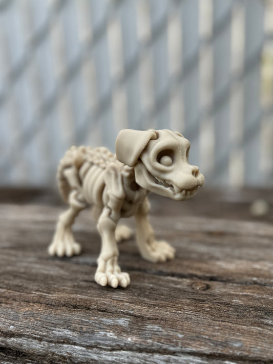 Skeleton dog