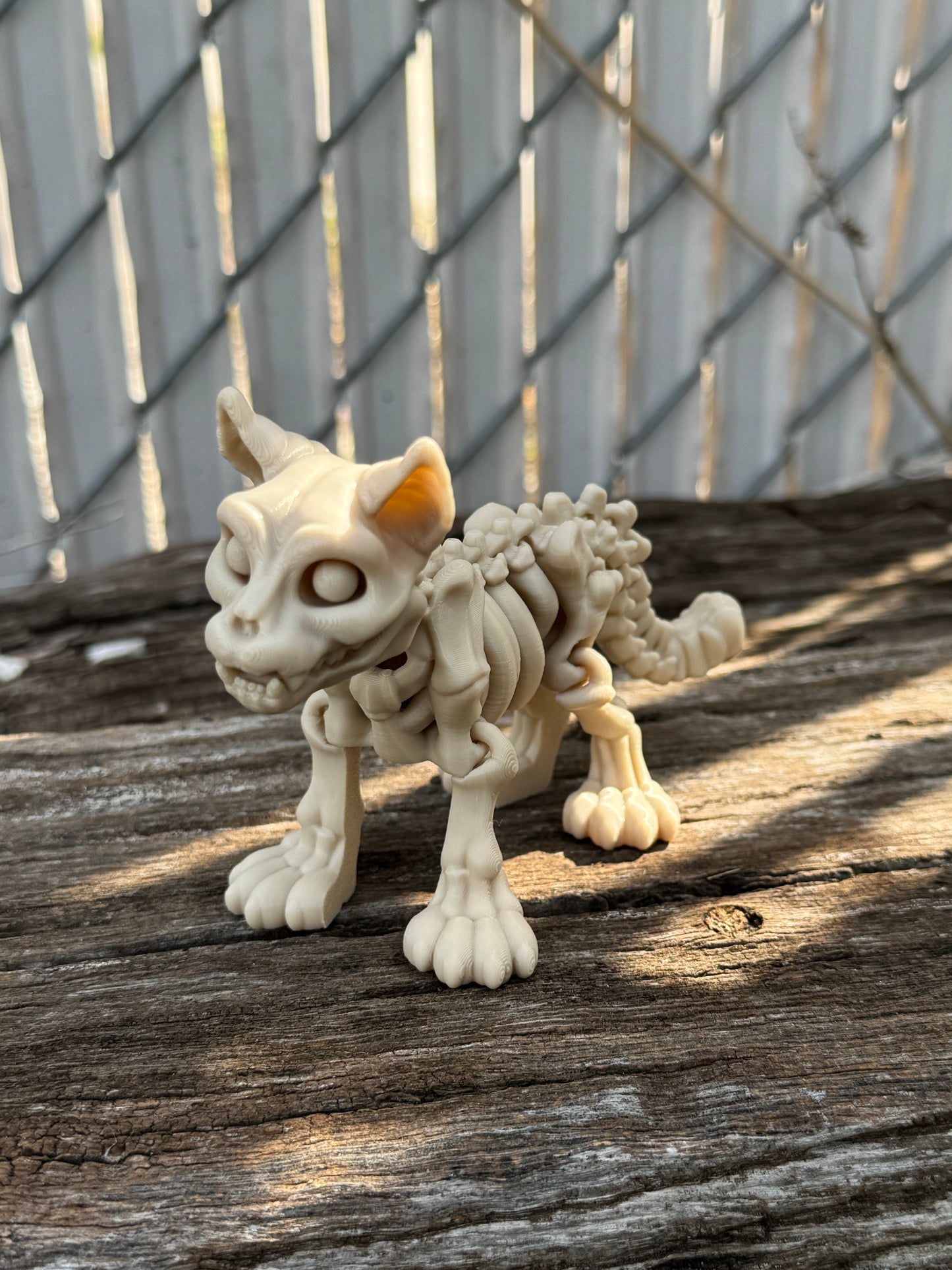 Undead kitty