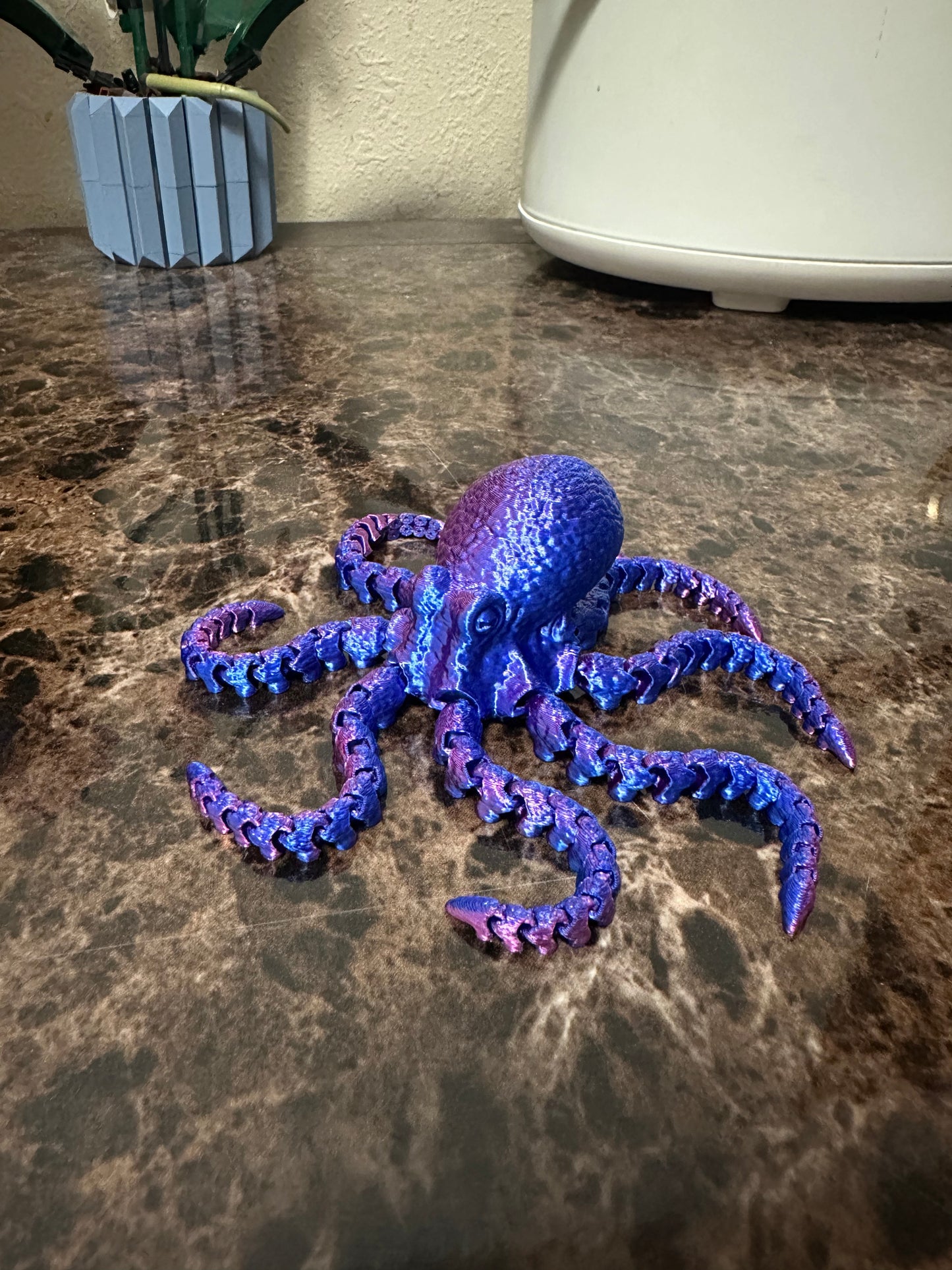 Octopus