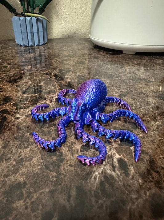 Octopus