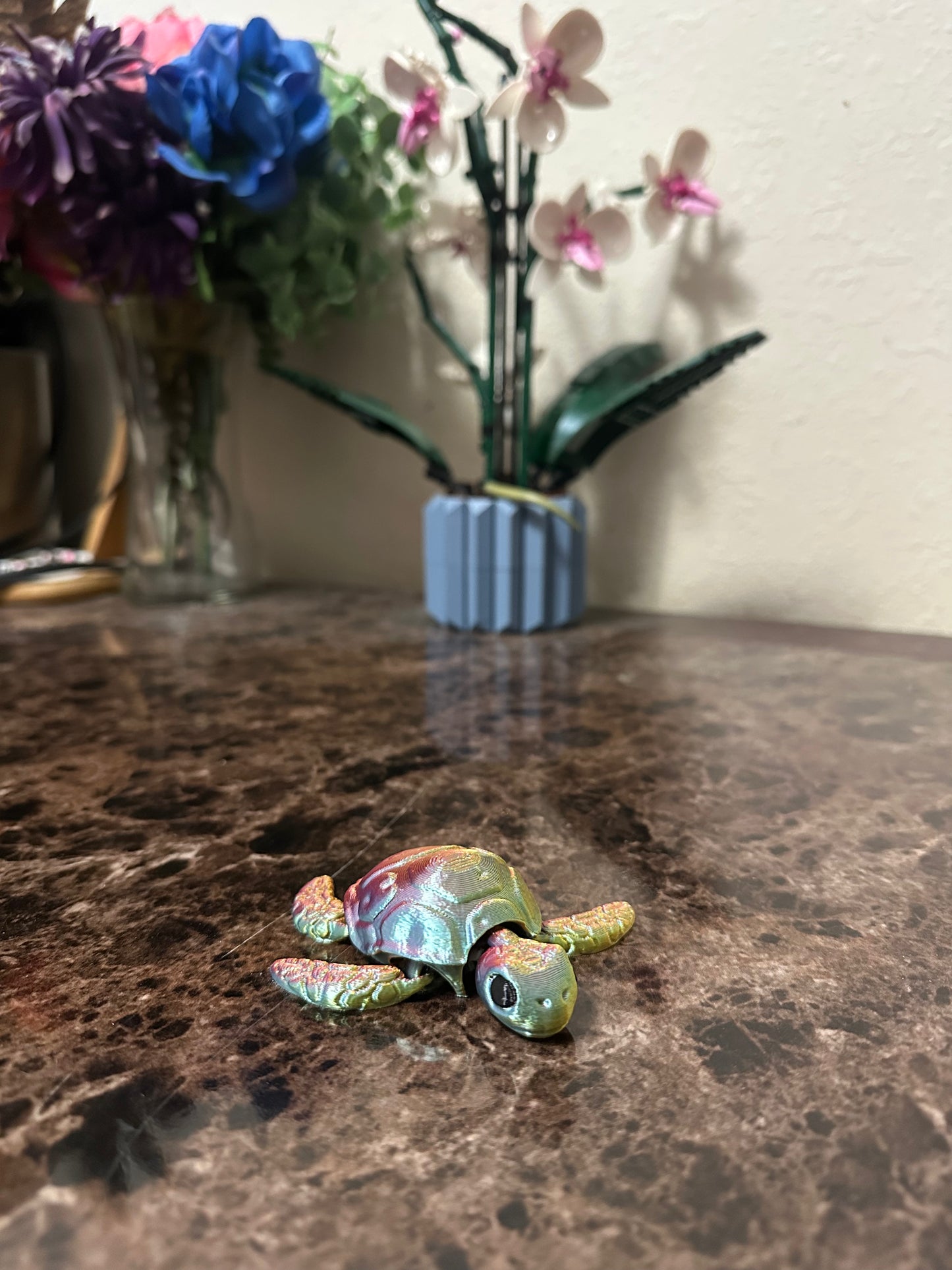 Sea Turtles