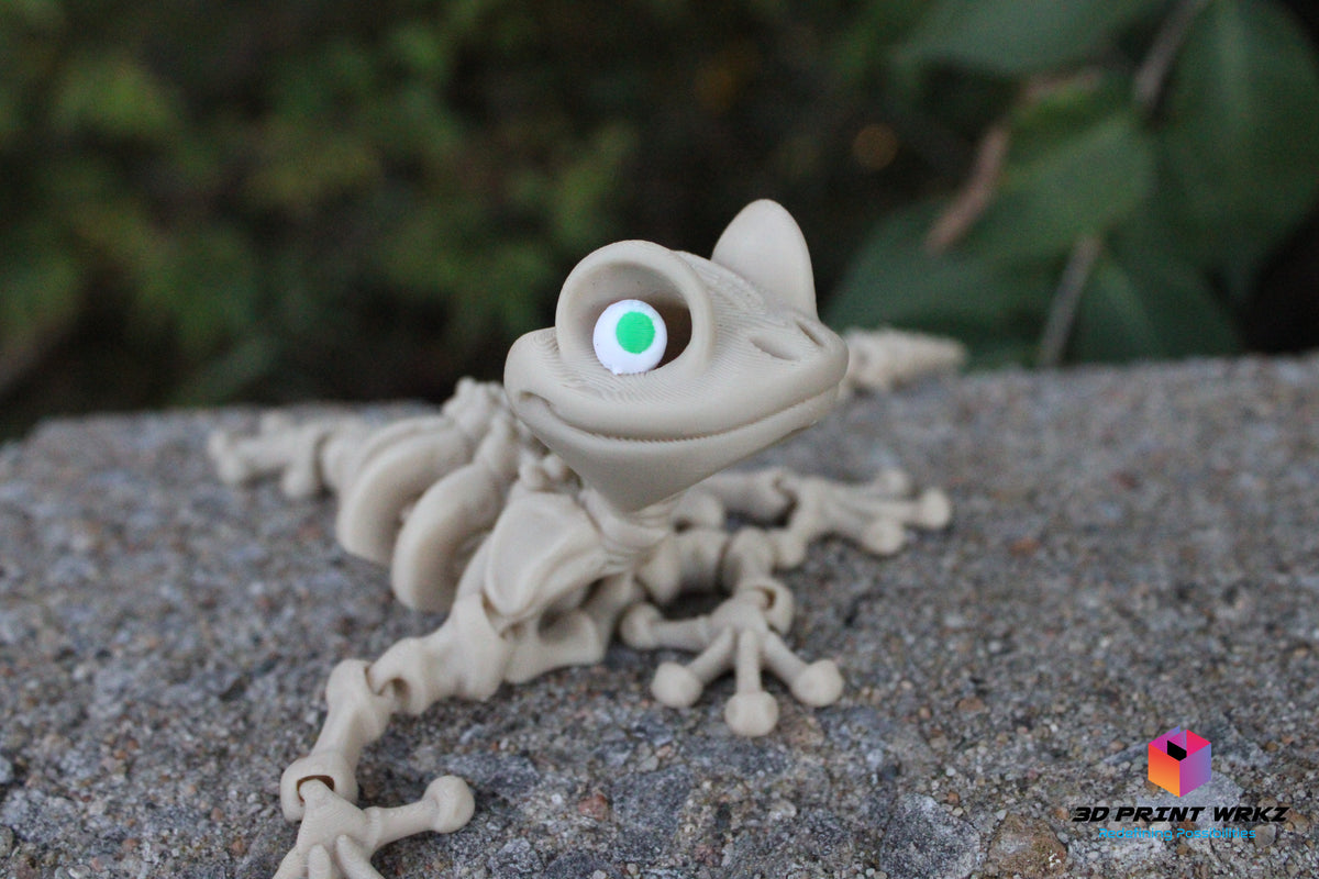 Skeleton Gecko
