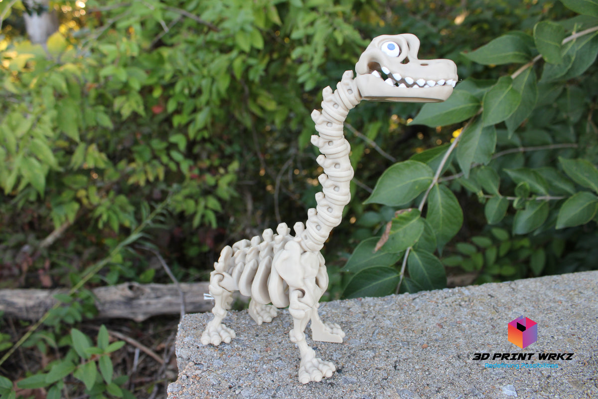 Skeleton Brachiosaurs