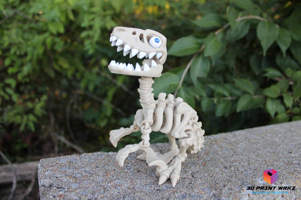 Skeleton Raptor