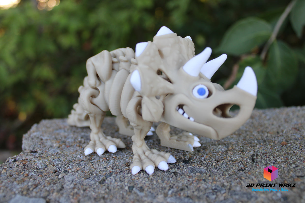 Skeleton Triceratops
